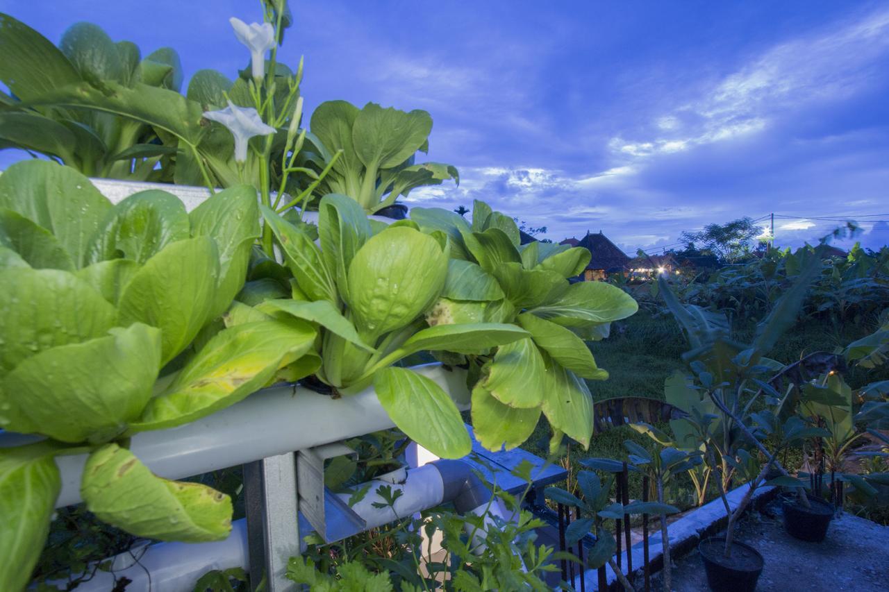 Vinayaka Ubud Εξωτερικό φωτογραφία