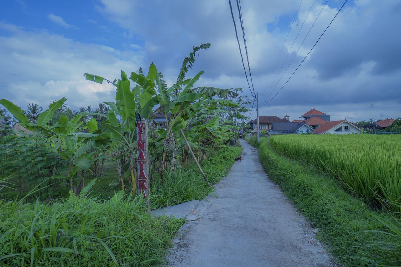 Vinayaka Ubud Εξωτερικό φωτογραφία