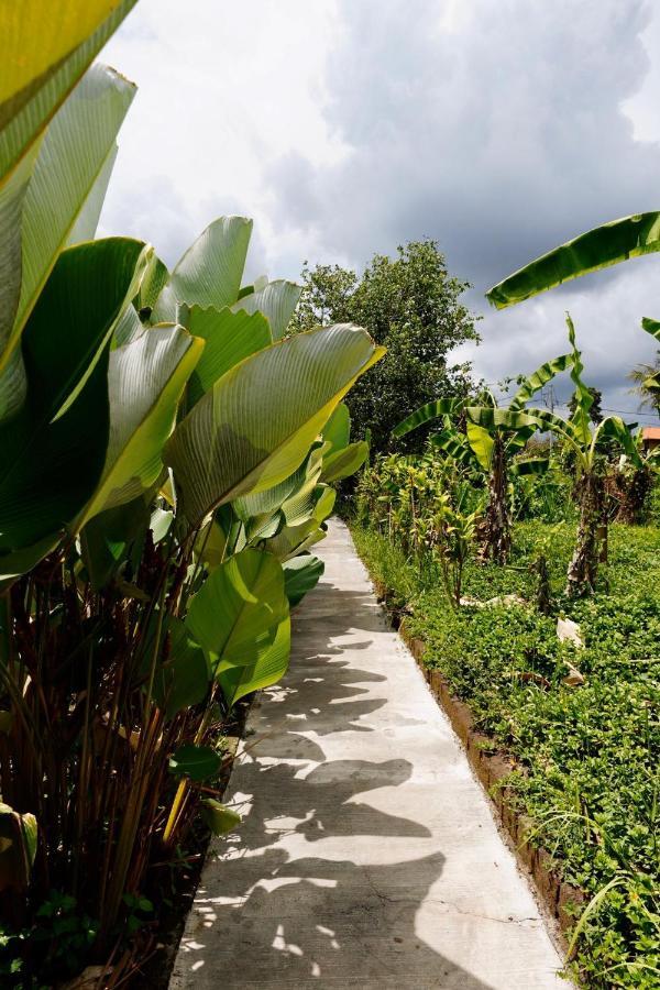 Vinayaka Ubud Εξωτερικό φωτογραφία